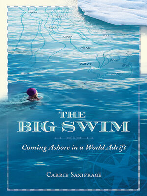 cover image of The Big Swim